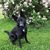 Lisa Hinkelman's profile image