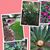 Donna R Peterson's profile image