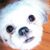 Margaret Phelps's profile image