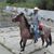 Diego Aleman's profile image
