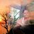 Jeffrey Villa Batangan's profile image