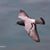Christian Milkes's profile image