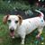 Linda Smith's profile image