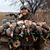 Trent Gallegos's profile image