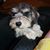 Jane Minor McCasland's profile image