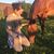 Beth Sallak's profile image