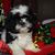 Sandra Tharpe's profile image