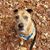 Emily C. Whiteley's profile image