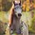 Sue Brodasky's profile image
