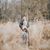 Amanda Theodoropoulos's profile image