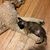 Angie Grose's profile image