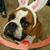 Donna Cox's profile image