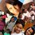 Erika Renee Houston's profile image