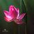 Prabir Mahanta's profile image