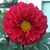 Kathy Wimer's profile image