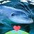 Heather Rombach's profile image