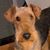 Debbie Reed-Carley's profile image