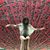 Francisca Cepeda-Mendez's profile image