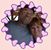 Kelly Dunn's profile image
