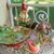 Michelle Shawger Fowler's profile image
