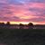 Melissa Dillingham Blanton's profile image