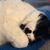 Jennie Herfort Brown's profile image