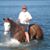 Fran Sargent Klovstad's profile image