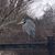 Julie Barringer-Richers's profile image