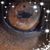 Adelynn Nabors Sterling's profile image