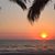 Tricia Imondi-Layne's profile image