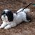 Sherry Goodin's profile image