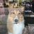 Dana Fehrenbach's profile image