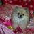 Melinda Brown's profile image
