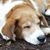 Thurman John Austin's profile image