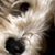 Shelley Phillips's profile image