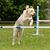 Mary Oonk's profile image