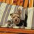 Lindy Hallam's profile image