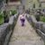 Stephanie Harrington's profile image