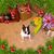 Janice Abel-Scott's profile image