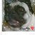 Jose Adrian Farias's profile image