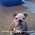Rose Roberson's profile image