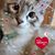 Marlys Laws Jones's profile image