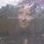 Tina Cattuh's profile image