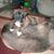 Glenn-angie Eppihimer's profile image