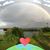 Debbie Wetter's profile image