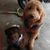Kathlene Hein's profile image