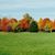 Darrell Mary Herron's profile image