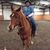 Judy Bennett's profile image