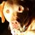 Beth Schwiderson-Gay's profile image