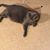 Barbara Brownell's profile image
